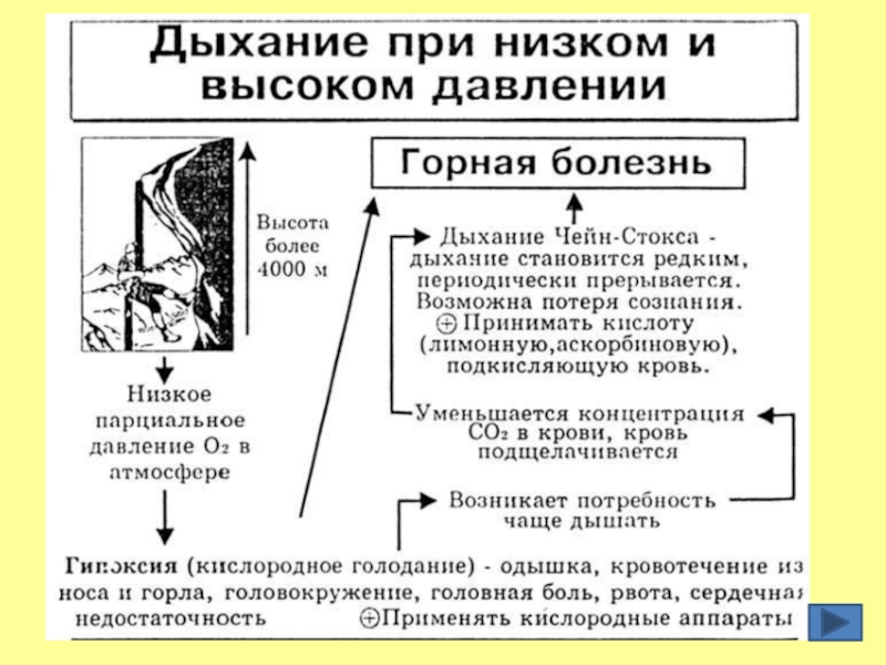 Горная болезнь давление. Кессонная болезнь патогенез. Механизм развития горной болезни. Схема патогенеза кессонной болезни. Схема патогенеза горной болезни.