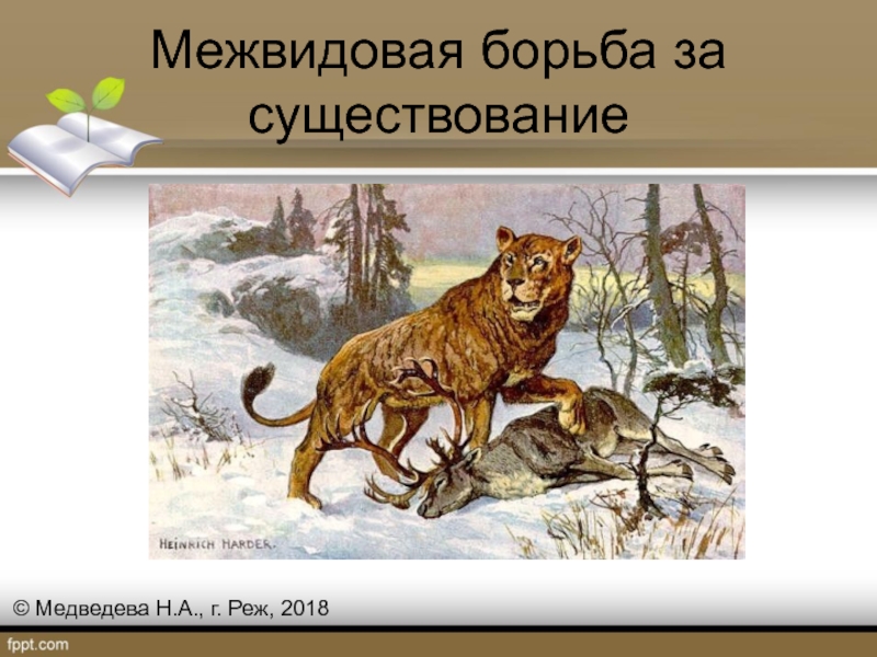 Особенности межвидовой борьбы. Межвидоидовая борьба за существование. Межвидовая борьба за существование. Межвидовая борьба примеры. Борба за существование.