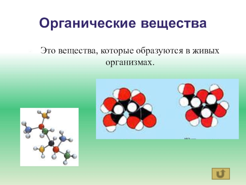 Вещество образовано. Вещества которые образуются в живом организме называют. Вещества которые обращуюися в диврм органищме. Органические вещества – образуются в телах живых организмов. Вещества которые образуются в живом организме называют 5.