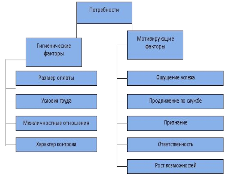 Санитарно гигиенические потребности