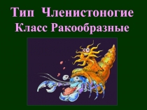 Презентация по биологии на тему Ракообразные (7 класс)