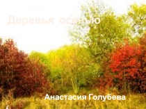 Презентация по ознакомлению с окружающим миром старшая группа Деревья осенью