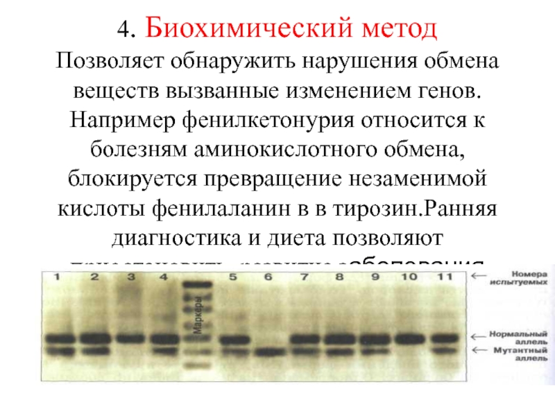 Изменение гена. Биохимические метод исследования позволяет выявить. Биохимический метод изучения клетки. Биохимический метод выявления заболеваний. Биохимические методы диагностики генных болезней.