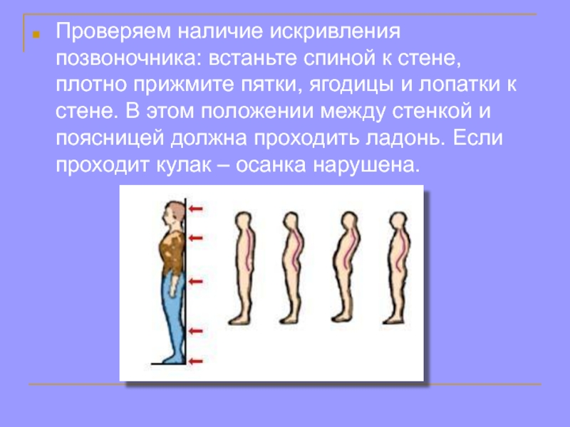 Проходить между. Между стеной и поясницей проходит кулак. Проверка на наличие сколиоза. Тест на наличие искривления позвоночника. Что если между поясницей и стеной проходит кулак.