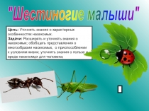 Итоговая презентация к проекту Шестиногие малыши