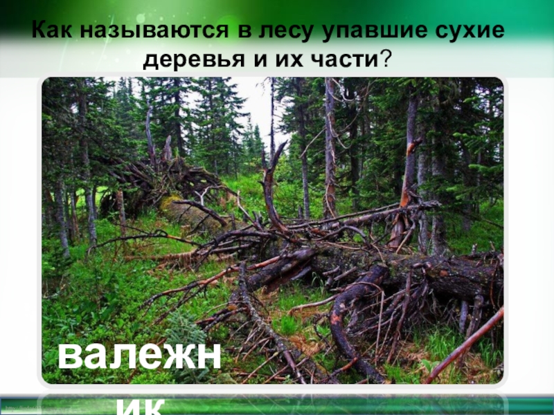 Как в литературоведении называется изображение природы например описание угасающего вечера