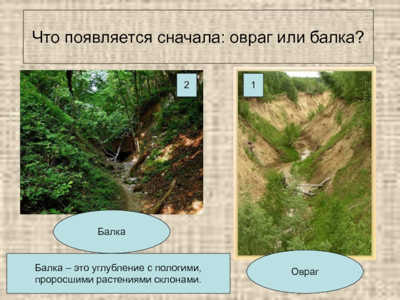 Окружающий мир 4 класс поверхность нашего края презентация 4 класс