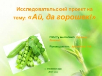 Презентация Ай, да горошек!