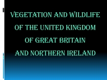 Презентация по английскому языку Растительный и животный мир Великобритании