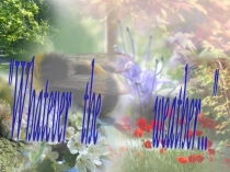 Презентация по английскому языку на тему Погода