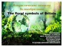 Презентация по английскому языку на тему  Флористические символы Великобритании