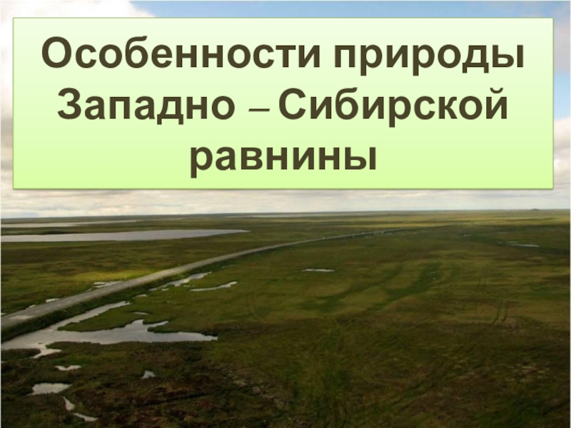 Презентация Презентация для урока географии по теме Западная Сибирь, 8 кл