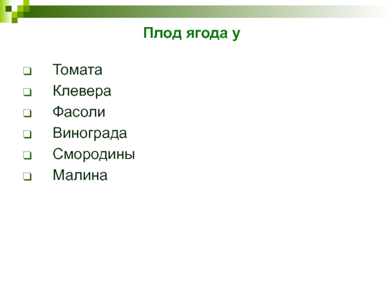 Плод ягода уТоматаКлевераФасолиВиноградаСмородиныМалина
