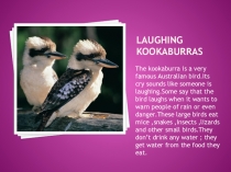 Презентация по теме Австралийские животные