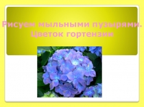 Рисование мыльными пузырями. Презентация  Гортензия