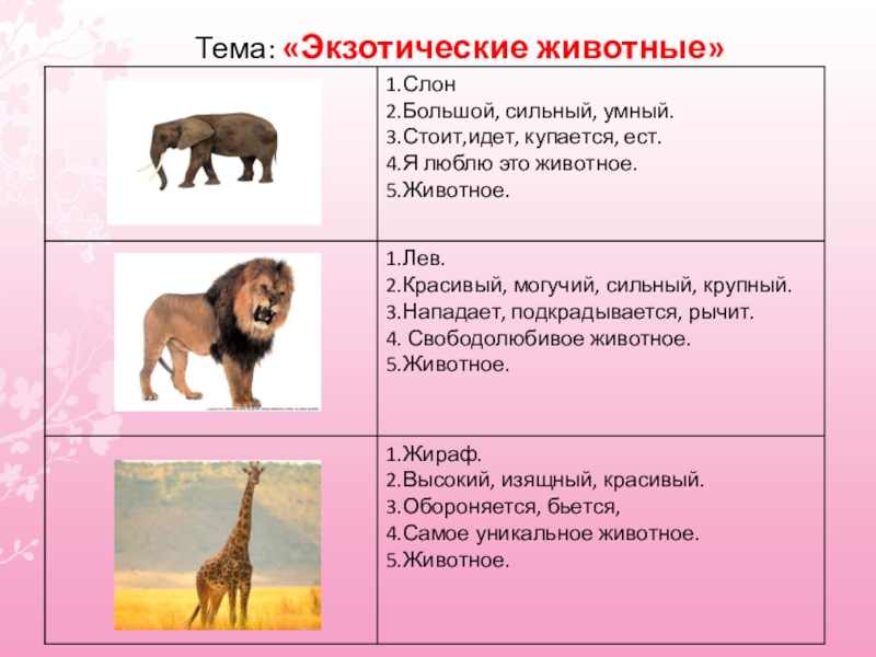 Тема животные ответ. Синквейн слон. Синквейн на тему животные. Синквейн на тему слон. Синквейн слон 3 класс.