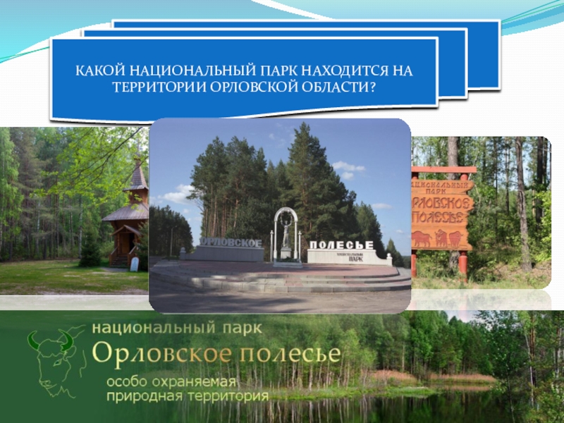 Какой парк находится. Национальный парк Орловская Губерния. Орловская область кратко. Охраняемые территории Орловской области. Проект на тему Орловская область.