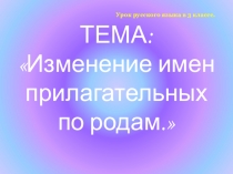 Изменение имён прилагательных по родам