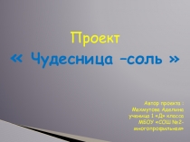 Исследовательский проект Чудесница соль