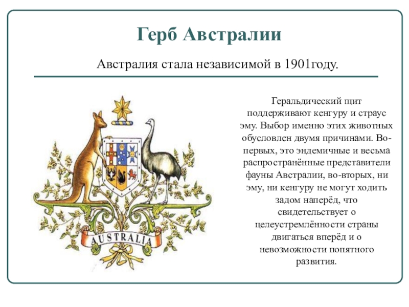 Какое животное на гербе австралии. Герб Австралии описание. Расшифровка герба Австралии. Кенгуру на гербе Австралии. Герб Австралии описание краткое.