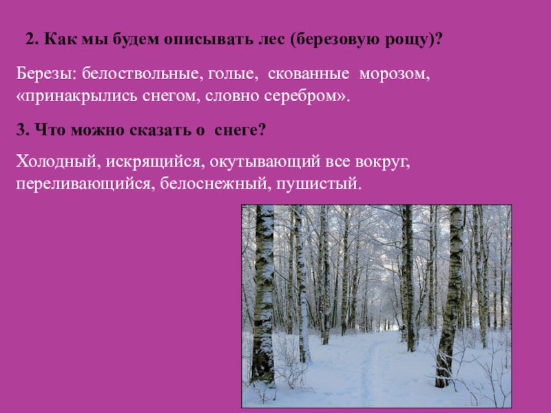 2. Как мы будем описывать лес (березовую рощу)?Березы: белоствольные, голые, скованные морозом, «принакрылись снегом, словно серебром». 3.