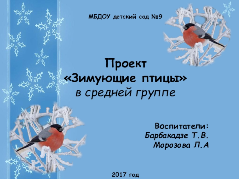 Презентация птицы средняя группа