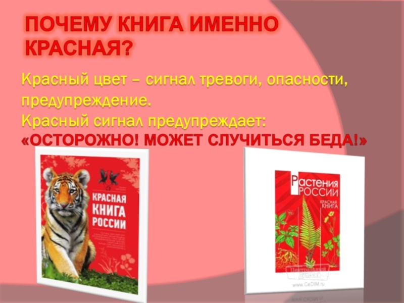 Проект книга 2 класс