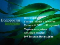 Презентация по биологии на тему Водоросли (6 класс)