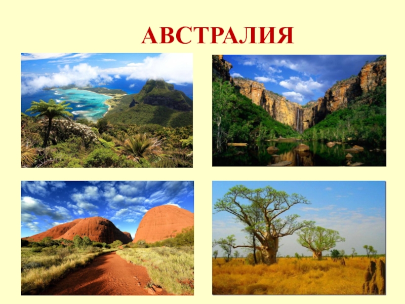 Природа австралии рисунок для 2 класса