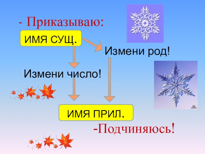 Смени число. Картинка имя прил подчиняется им сущ. Имя вели.