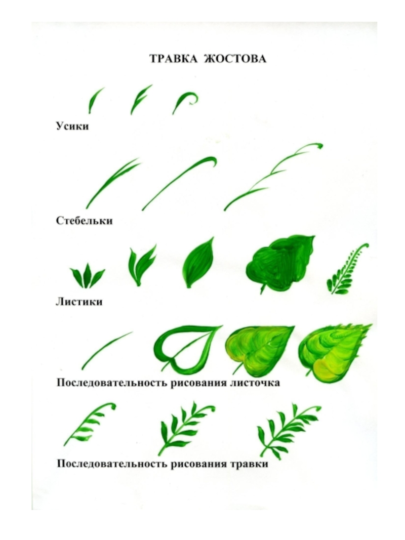 Этапы жостовской росписи в картинках с описанием