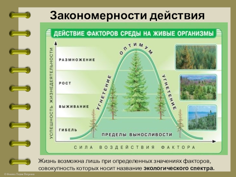 Какие факторы среды называют экологическими составьте схему