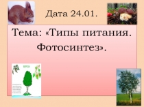 Урок биологии в 7 (8б) классе на тему: Питание. Типы питания.