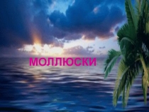 Учебная презентация по теме Тип Моллюски, или Мягкотелые