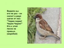 Презентация по окружающему миру Птицы, 1 класс