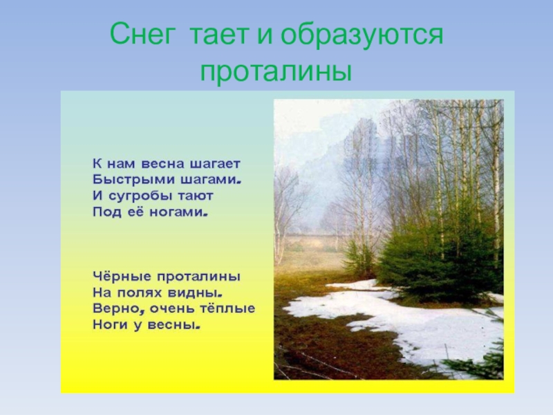 Тающий снег текст. К нам Весна шагает быстрыми шагами стихотворение. Загадка тает снег. Загадка про таяние снега. Снег растаял.