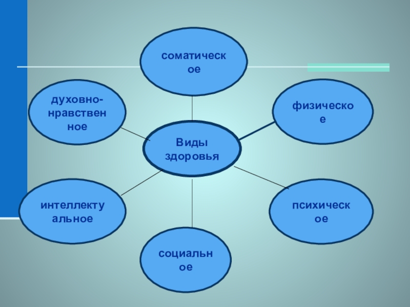 Нравственная социальная духовная. Виды здоровья. Взаимосвязь видов здоровья человека. Типы физического здоровья. Состояние здоровья виды.