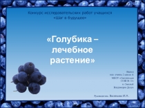 Исследовательская работа для конкурса  Шаг в будущее  Голубика