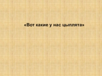Презентация к ОД по выполнению аппликации из бумаги. Вот какие у нас цыплята