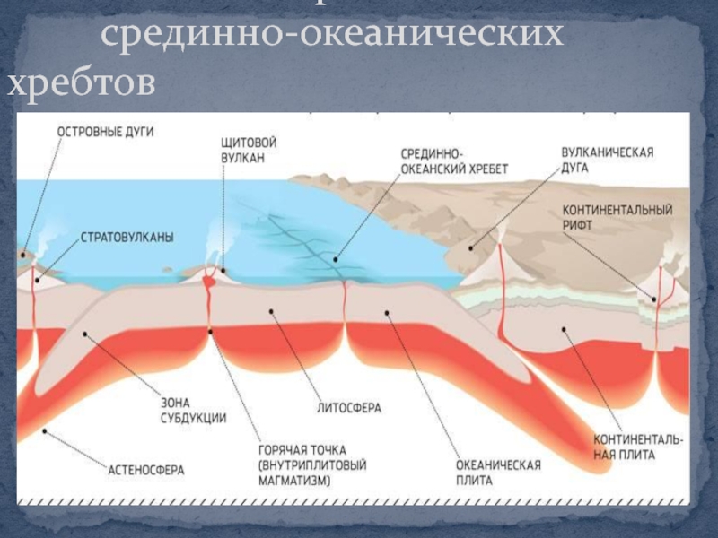 Тектоника океанов. Строение рифтовых Долин срединно-океанских хребтов. Серединноокеанические хреюты. Образование срединно океанического хребта. Серидина Океанические хребты.