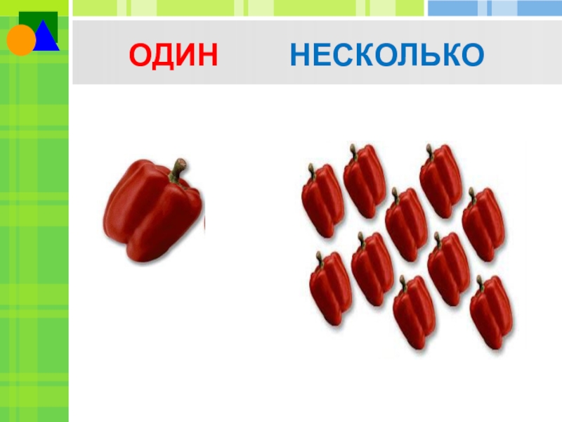 1 несколько. Один и несколько. Понятие один много. Один много 1 класс. Математика 1 класс один много.