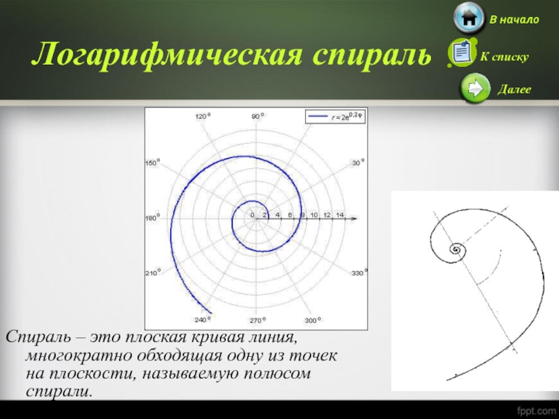 Математические свойства логарифмической спирали