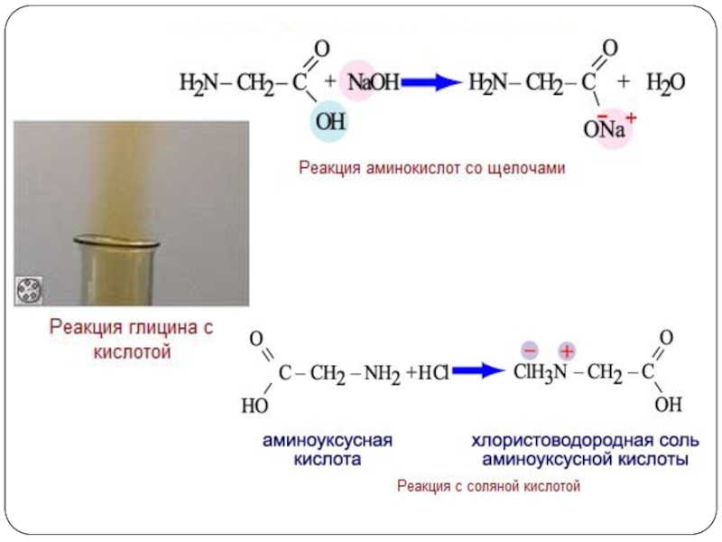 Аминоуксусная кислота реагирует с гидроксидом натрия. Реакция взаимодействия глицина с соляной кислотой. Взаимодействие аминоуксусной кислоты. Глицин плюс соляная кислота. Взаимодействие глицина с кислотами.