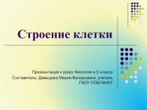 Презентация к уроку биологии Строение клетки