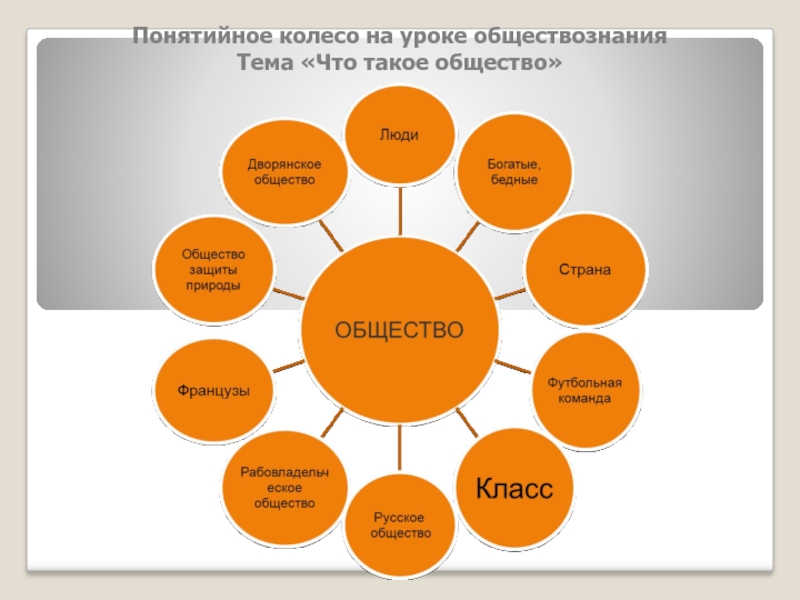 Уроки обществознание 9. Понятийное колесо. Концептуальное колесо. Понятийное колесо на уроках истории. Понятийное колесо на уроке обществознания.