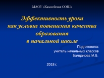 Эффективность урока как условие повышения качества образования в начальной школе