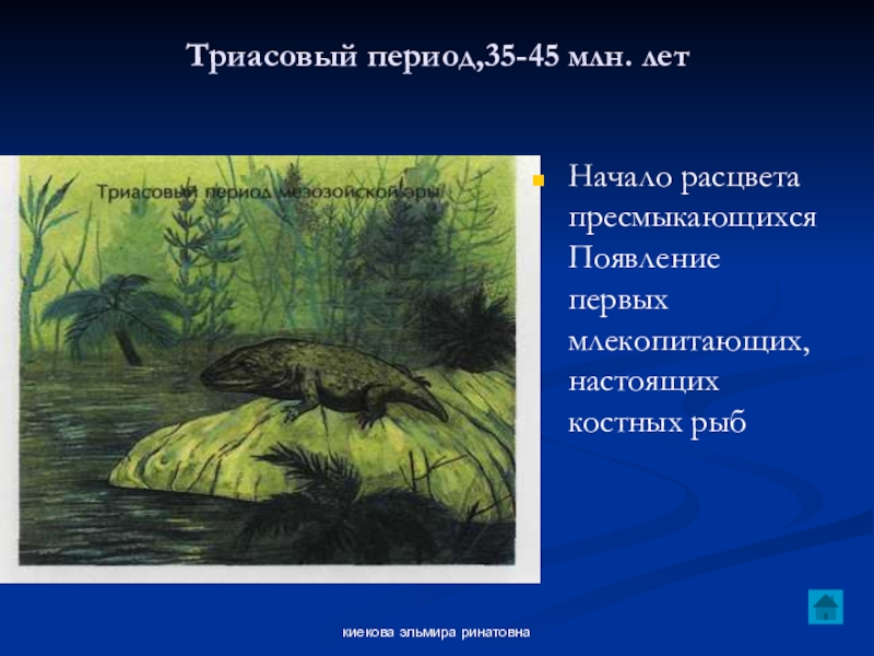 Представители периода. Трисовый 35 начало расцвета пресмыкающихся. Расцвет пресмыкающихся период. Триасовый период природные условия. Триасовый период пресмыкающиеся.