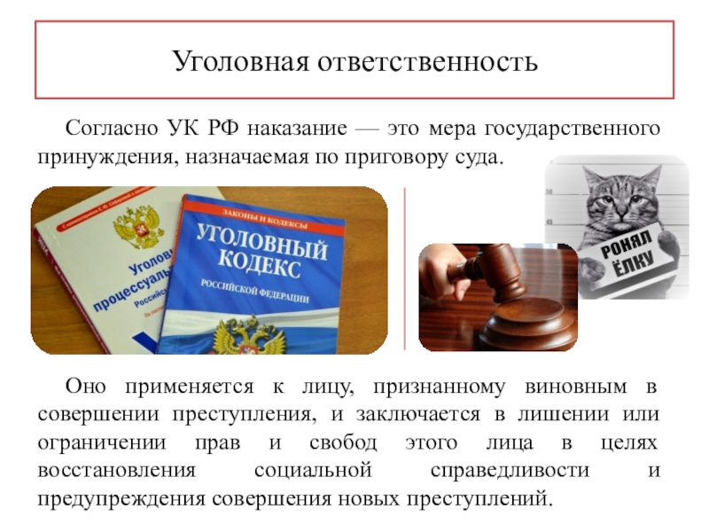 Проект обществознание виновен отвечай