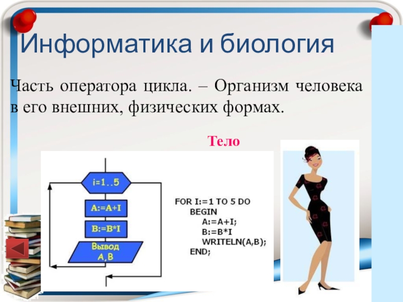 Биология и информатика. Взаимосвязь информатики и биологии. Связь информатики с биологией. Как Информатика связана с биологией. Операторы цикла Информатика.