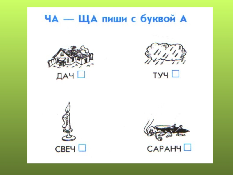 Карточка чу. Ча ща задания для дошкольников. Ча ща раскраска. Тема жи ши ча ща Чу ЩУ 2 класс. Жи-ши ча-ща Чу-ЩУ правило в картинках.